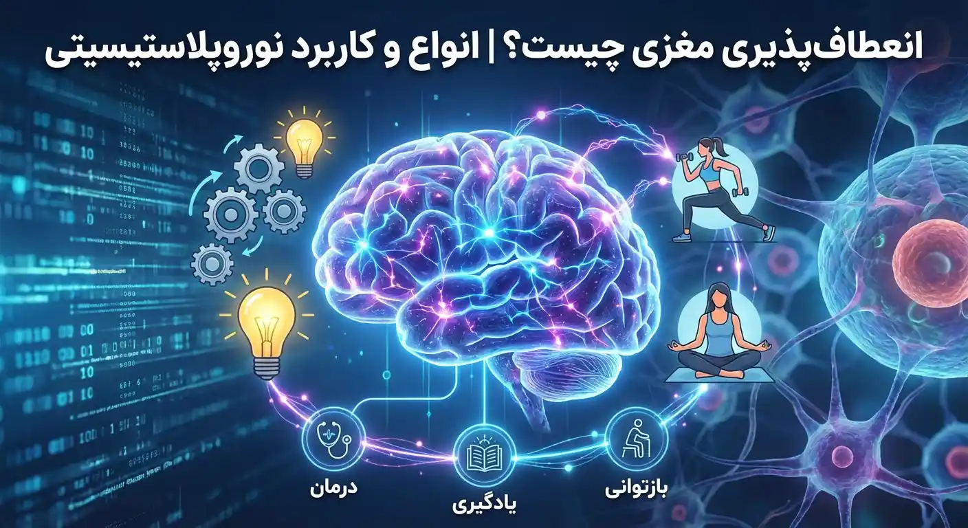 انعطاف پذیری مغزی چیست